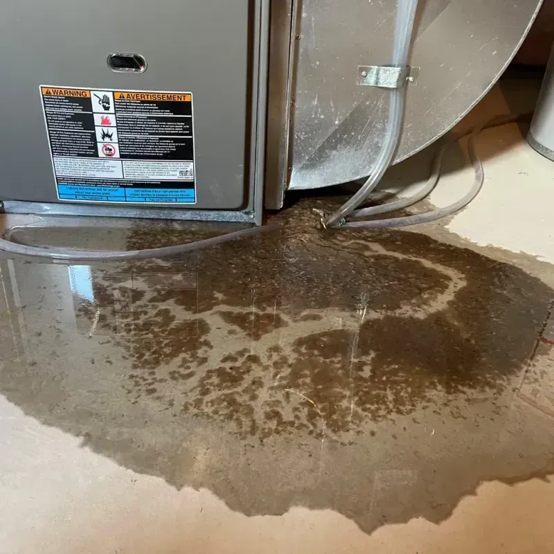 Appliance Leak Cleanup in Wadley, GA